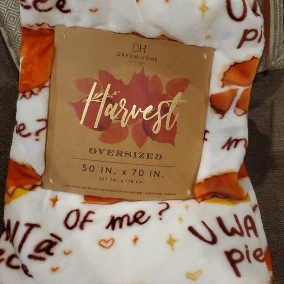 Fun and Rare Pumpkin Pie Blanket-NWT - Picture 4 of 5